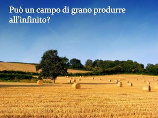 I rifiuti del PIL