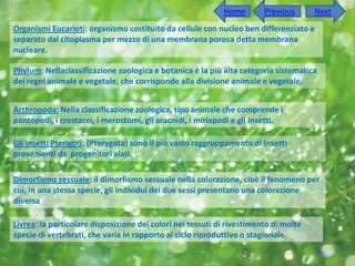 Home        Previous      Next
Organismi Eucarioti: organismo costituito da cellule con nucleo ben differenziato e
separato dal citoplasma per mezzo di una membrana porosa detta membrana
nucleare.

Phylum: Nellaclassificazione zoologica e botanica è la più alta categoria sistematica
dei regni animale e vegetale, che corrisponde alla divisione animale e vegetale.


Arthropoda: Nella classificazione zoologica, tipo animale che comprende i
pantopodi, i crostacei, i merostomi, gli aracnidi, i miriapodi e gli insetti.

Gli insetti Pterigoti: (Pterygota) sono il più vasto raggruppamento di Insetti
provenienti da progenitori alati.

Dimorfismo sessuale: il dimorfismo sessuale nella colorazione, cioè il fenomeno per
cui, in una stessa specie, gli individui dei due sessi presentano una colorazione
diversa

Livrea: la particolare disposizione dei colori nei tessuti di rivestimento di molte
specie di vertebrati, che varia in rapporto al ciclo riproduttivo o stagionale.
 
