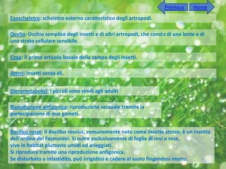 Previous     Home
Esoscheletro: scheletro esterno caratteristico degli artropodi.

Ocello: Occhio semplice degli insetti e di altri artropodi, che consta di una lente e di
uno strato cellulare sensibile.

Coxa: Il primo articolo basale della zampa degli insetti.

Atteri: insetti senza ali.


Eterometabolici: i piccoli sono simili agli adulti

Riproduzione anfigonica: riproduzione sessuale tramite la
partecipazione di due gameti.


Bacillus rossii: Il Bacillus rossius, comunemente noto come insetto stecco, è un insetto
dell'ordine dei Fasmoidei. Si nutre esclusivamente di foglie di rovi e rose,
vive in habitat piuttosto umidi ed arieggiati.
Si riproduce tramite una riproduzione anfigonica.
Se disturbato o infastidito, può irrigidirsi e cadere al suolo fingendosi morto.
 