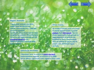 Home           Next




Regno: Animalia
l regno degli animali, una delle                         Classe: Insecta
suddivisioni dei domini dei
viventi, comprende circa 1 800 000                       Gli Insetti o Entomi ,sono una classe
specie di organismi                                      di viventi appartenente al grande
classificati, presenti per quanto noto                   phylum degli Arthropoda. Questa
sul globo terracqueo. Attualmente si                     classe rappresenta il più grande tra i
ritrovano nel regno animale tutti gli                    raggruppamenti di animali che
organismi eucarioti, con                                 popolano la Terra, annoverando
differenziamento a seconde delle                         oltre un milione di specie, pari ai
diverse cellule.                                         cinque sesti dell'intero regno
                                                         animale.

              Sottoclasse: Mantodea

              I Mantodei sono un ordine di insetti pterigoti.
              Essenzialmente tropicali, ne esistono circa 2000
              specie diffuse soprattutto nelle regioni a clima caldo.
 