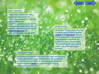 Home         Next

Regno: Animalia

l regno degli animali, una delle
suddivisioni dei domini dei
viventi, comprende circa 1 800 000
specie di organismi
classificati, presenti per quanto noto
sul globo terracqueo. Attualmente si                       Classe: Insecta
ritrovano nel regno animale tutti gli
organismi eucarioti, con                                   Gli Insetti o Entomi ,sono una classe
differenziamento a seconde delle                           di viventi appartenente al grande
diverse cellule.                                           phylum degli Arthropoda. Questa
                                                           classe rappresenta il più grande tra i
                                                           raggruppamenti di animali che
                                                           popolano la Terra, annoverando
                                                           oltre un milione di specie, pari ai
                                                           cinque sesti dell'intero regno
                                                           animale.

           Sottoclasse: Pterigoti

           Gli Pterigoti (Pterygota) sono il più vasto raggruppamento di
           Insetti, inquadrato al rango di Sottoclasse, comprendente
           tutte le forme provviste di ali, compresi quelle diventate
           secondariamente attere nel corso dell'evoluzione da
           progenitori ancestrali alati.
 