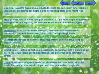 Home        Previous      Next
Organismi Eucarioti: organismo costituito da cellule con nucleo ben differenziato e
separato dal citoplasma per mezzo di una membrana porosa detta membrana
nucleare.

Phylum: Nella classificazione zoologica e botanica è la più alta categoria sistematica
dei regni animale e vegetale, che corrisponde alla divisione animale e vegetale.


Arthropoda: Nella classificazione zoologica, tipo animale che comprende i
pantopodi, i crostacei, i merostomi, gli aracnidi, i miriapodi e gli insetti.

Gli insetti Pterigoti: sono il più vasto raggruppamento di Insetti provenienti da
progenitori alati.

Dimorfismo sessuale: il dimorfismo sessuale nella colorazione, cioè il fenomeno per
cui, in una stessa specie, gli individui dei due sessi presentano una colorazione
diversa

Livrea: la particolare disposizione dei colori nei tessuti di rivestimento di molte
specie di vertebrati, che varia in rapporto al ciclo riproduttivo o stagionale.
 