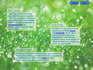 Home          Next

Regno: Animalia

l regno degli animali comprende
circa 1 800 000 specie di organismi
classificati, presenti per quanto noto
sul globo terracqueo. Attualmente si
ritrovano nel regno animale tutti gli
organismi eucarioti, con                                   Classe: Insecta
differenziamento a seconda delle
diverse cellule.                                           Gli Insetti sono una classe di viventi
                                                           appartenente al grande phylum
                                                           degli Arthropoda. Questa classe
                                                           rappresenta il più grande tra i
                                                           raggruppamenti di animali che
                                                           popolano la Terra, contando oltre un
                                                           milione di specie, pari ai cinque sesti
                                                           dell'intero regno animale.


           Sottoclasse: Pterigoti

           Gli Pterigoti (Pterygota) sono il più vasto raggruppamento di
           Insetti comprendente tutte le forme provviste di ali, compresi
           quelle diventate secondariamente attere nel corso
           dell'evoluzione da progenitori ancestrali alati.
 