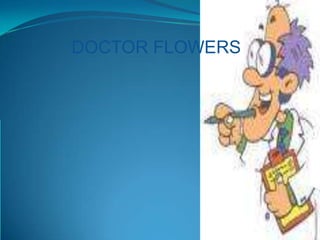 DOCTOR FLOWERS 