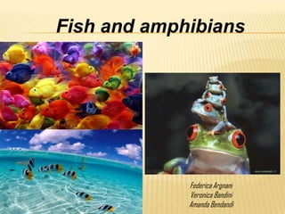Fish and amphibians




             Federica Argnani
             Veronica Bandini
             Amanda Bendandi
 