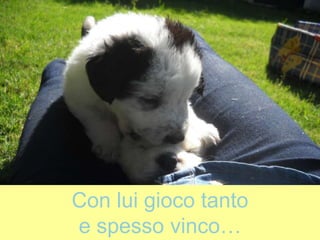 Con lui gioco tanto
e spesso vinco…
 
