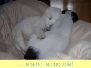 … e amo le coccole!
 