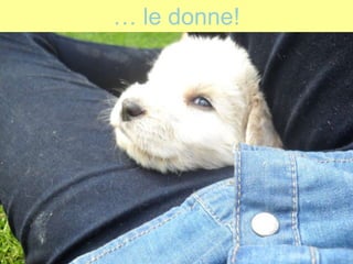 … le donne!
 