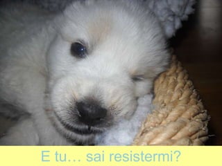 E tu… sai resistermi?
 