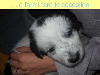 … e farmi fare le coccoline
 