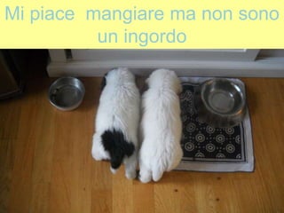 Mi piace mangiare ma non sono
un ingordo
 