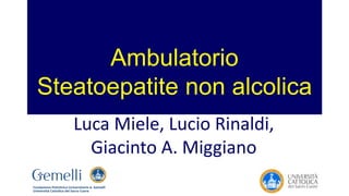 Ambulatorio
Steatoepatite non alcolica
Luca Miele, Lucio Rinaldi,
Giacinto A. Miggiano
 
