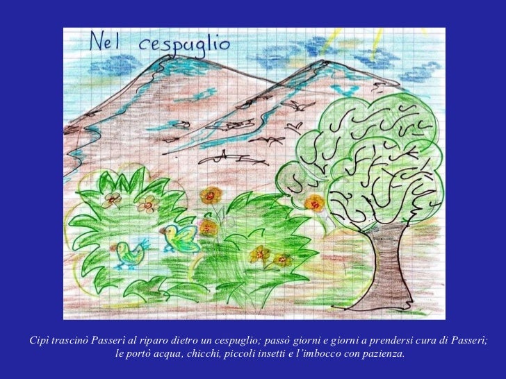 La Storia Di Cipì Da Stampare