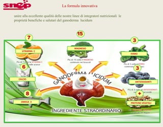 Snep International