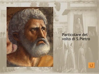 Particolare del
volto di S.Pietro
 