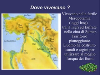 Dove vivevano ? Vivevano nella fertile Mesopotamia  ( oggi Iraq)  tra il Tigri ed Eufrate nella città di Sumer. Territorio pianeggiante. L'uomo ha costruito canali e argini per  utilizzare al meglio l'acqua dei fiumi. 