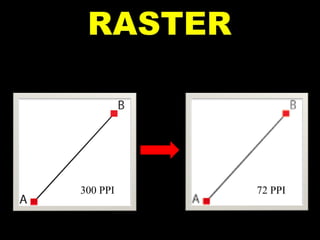 Si parla di Immagini RASTER, tutte le immagini costuite da mappe di PIXEL (picture element) 300 PPI 72 PPI 