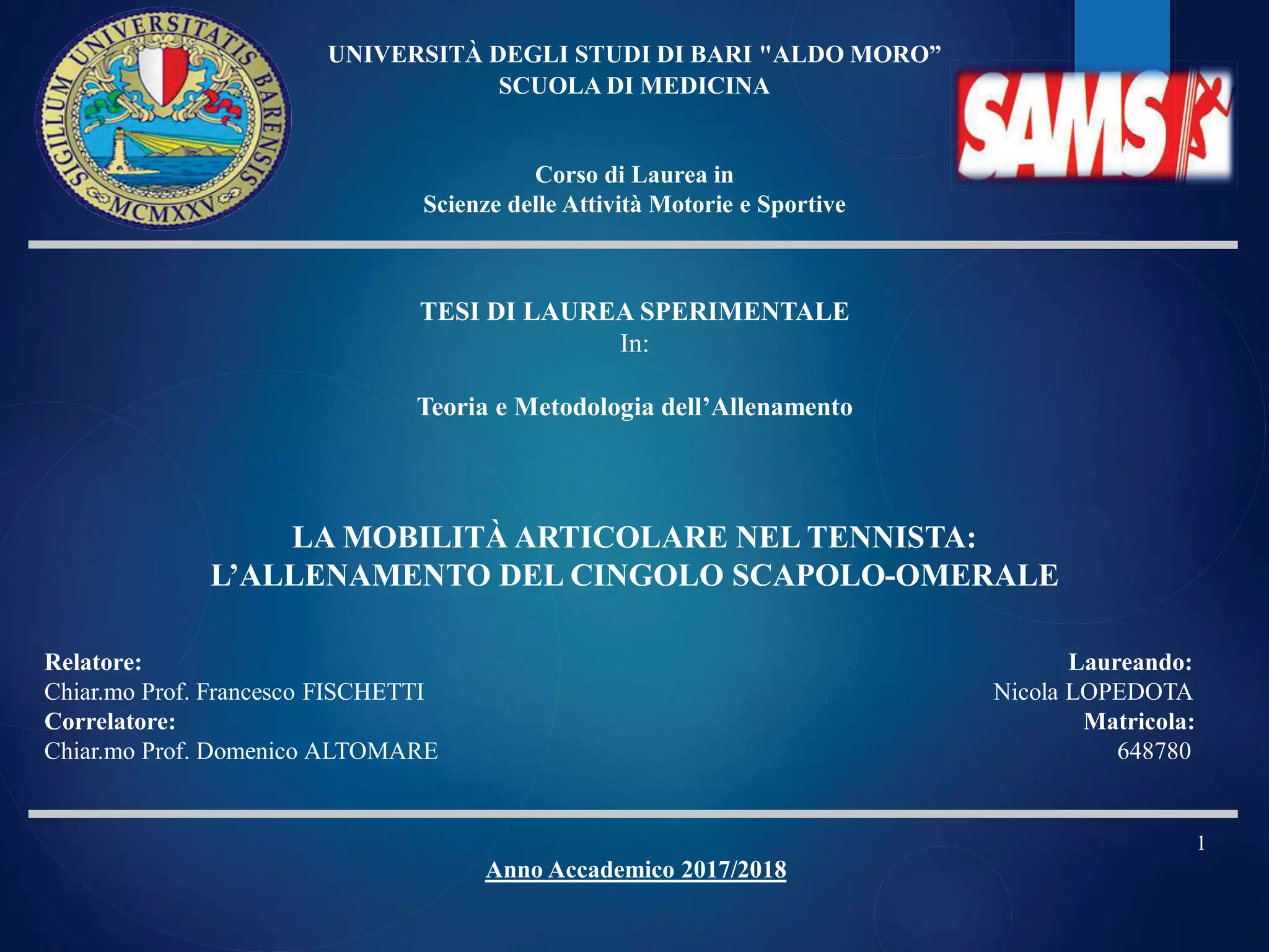 Bachelor thesis presentation | PDF