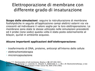 Scopo delle simulazioni : seguire la ristrutturazione di membrane fosfolipidiche in seguito all’applicazione campi elettrici esterni via via crescenti ed individuare il valore soglia per la loro elettroporazione. Le membrane sono state le stesse utilizzate nelle simulazioni precedenti ed il probe (ione sodio) questa volta è stato posto esternamente al bilayer, quindi in ambiente acquoso. Alcune importanti applicazioni dell’elettroporazione:   trasferimento di DNA, proteine, anticorpi all’interno delle cellule elettrochemioterapia microincapsulazione Tsong, T.Y. Electroporation of cell membranes.  Biophys J.  60 , 297-306 (1991). Belehradek, M., Domenge, C., Luboinski, B., Orlowski, S., Belehradek Jr., J., Mir, L.M. Electrochemotherapy, a new  antitumor treatment. First clinical phase I–II trial.  Cancer   72 , 3694–3700 (1993). 
