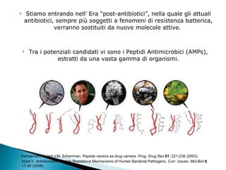 Stiamo entrando nell’ Era “post-antibiotici”, nella quale gli attuali antibiotici, sempre più soggetti a fenomeni di resistenza batterica, verranno sostituiti da nuove molecole attive.  Tra i potenziali candidati vi sono i Peptidi Antimicrobici (AMPs), estratti da una vasta gamma di organismi. Temsamani, J. and J.M. Scherrman, Peptide vectors as drug carriers . Prog. Drug Res  61 , 221-238 (2003). Nizet.V, Antimicrobial Peptide Resistance Mechanisms of Human Bacterial Pathogens.  Curr. Issues. Mol.Biol  8 ,  11-26 (2006). 