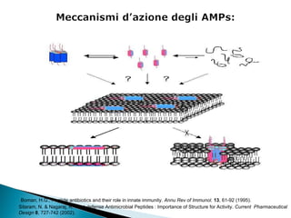 Boman, H.G., Peptide antibiotics and their role in innate immunity.  Annu Rev of Immunol.   13 , 61-92 (1995). Sitaram, N. & Nagaraj, R. Host-defense Antimicrobial Peptides : Importance of Structure for Activity.  Current  Pharmaceutical Design   8 , 727-742 (2002). 