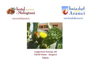 www.imelograni.it                            www.baiadegliaranci.it




                    Lungomare Europa, 48
                    71019 Vieste - Gargano
                            ITALIA
 