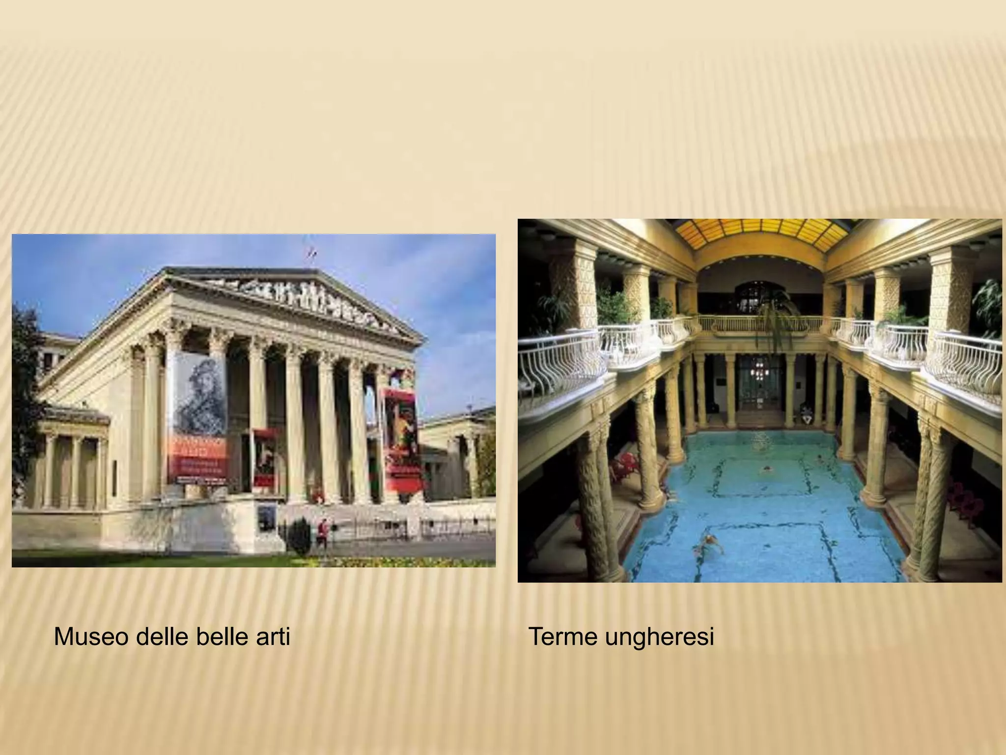 Museo delle belle arti Terme ungheresi
 