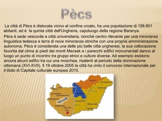 La città di Pècs è dislocata vicino al confine croato, ha una popolazione di 156.801
abitanti, ed è la quinta città dell'Ungheria, capoluogo della regione Baranya.
Pécs è sede vescovile e città universitaria, nonché centro rilevante per una minoranza
linguistica tedesca e terra di nove minoranze etniche con una propria amministrazione
autonoma. Pécs è considerata una delle più belle città ungheresi, la sua collocazione
favorita dal clima ai piedi dei monti Mecsek e i parecchi edifici monumentali danno al
luogo un punto di incontro tra gruppi etnici e culture diverse. Ad esempio esistono
ancora alcuni edifici tra cui una moschea, risalenti al periodo della dominazione
ottomana (XVI-XVII). Il 19 ottobre 2005 la città ha vinto il concorso internazionale per
il titolo di Capitale culturale europea 2010.
 