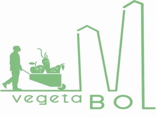 Business Game VegetaBol