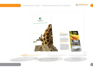 INTERNATIONAL PROJECT - REALIZZAZIONE BROCHURE DI PRODOTTO
 