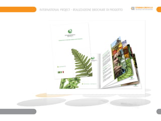 INTERNATIONAL PROJECT - REALIZZAZIONE BROCHURE DI PRODOTTO
 