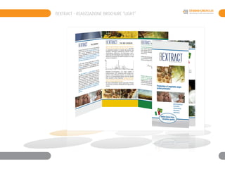 BEXTRACT - REALIZZAZIONE BROCHURE “LIGHT“
 