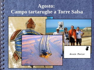 Agosto:
Campo tartarughe a Torre Salsa
Grazie Marisa!
 
