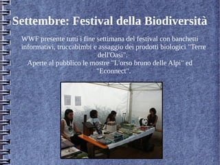 Settembre: Festival della Biodiversità
WWF presente tutti i fine settimana del festival con banchetti
informativi, truccabimbi e assaggio dei prodotti biologici "Terre
dell'Oasi".
Aperte al pubblico le mostre "L'orso bruno delle Alpi" ed
"Econnect".
 