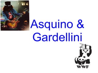 Asquino &
Gardellini
 