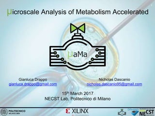 1
μicroscale Analysis of Metabolism Accelerated
15th March 2017
NECST Lab, Politecnico di Milano
Gianluca Drappo
gianluca.drappo@gmail.com
Nicholas Dascanio
nicholas.dascanio95@gmail.com
 