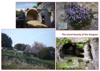 The secret beauty of the Gargano  