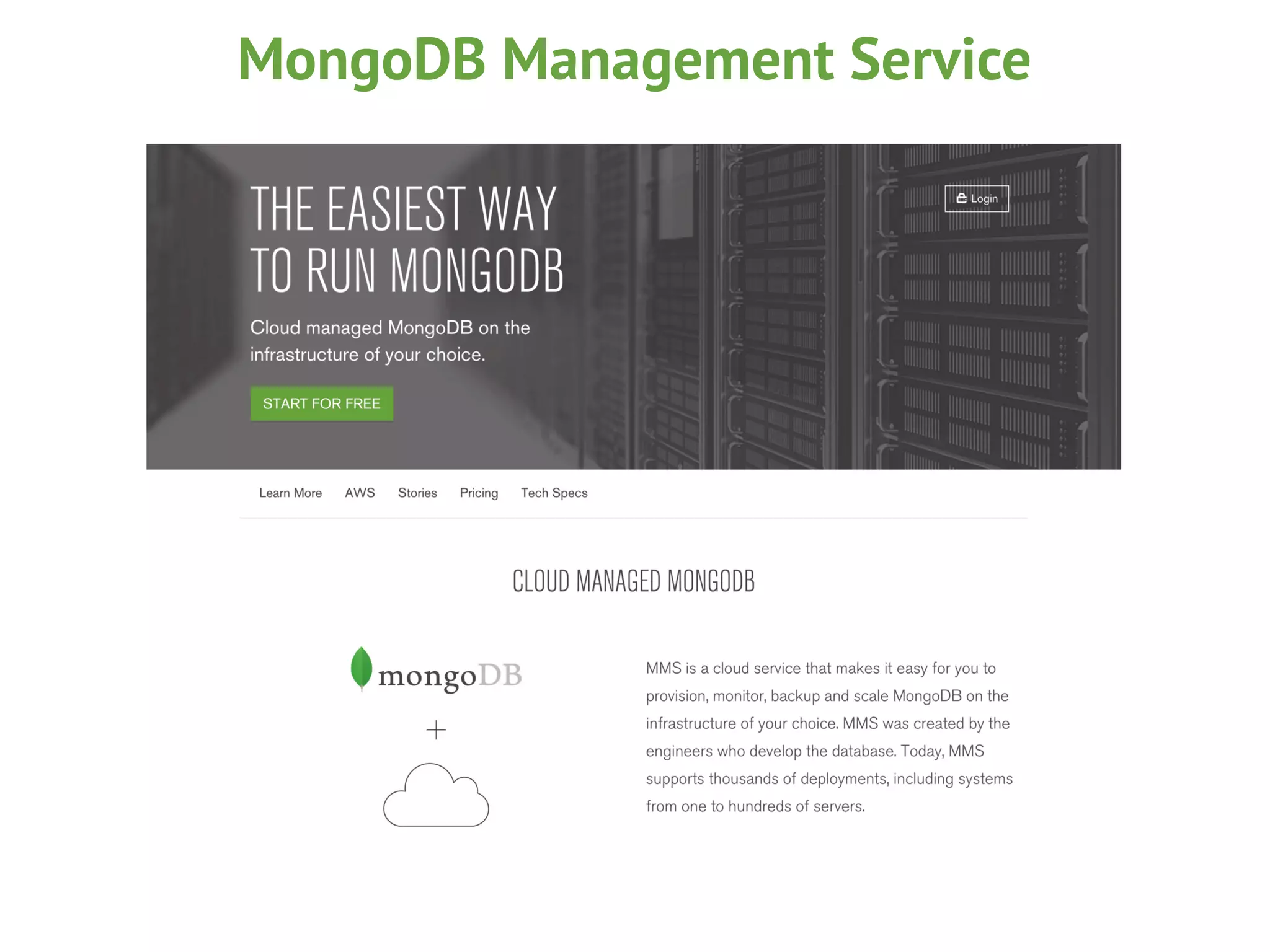 MongoDB Management Service
 