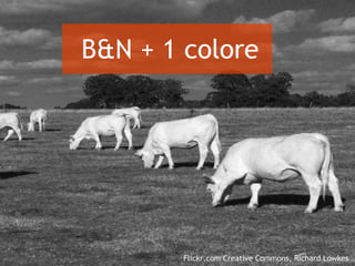 B&N + 1 colore Flickr.com Creative Commons, Richard Lowkes 