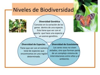 Niveles de Biodiversidad
                     Diversidad Genética
               Consiste en la variación de los
               genes dentro de una especie.
                  Esta tiene que ver con el
               aporte que hace una especie a
                    un acervo genético.


   Diversidad de Especies         Diversidad de Ecosistema
  Tiene que ver con el número      Los seres vivos no viven
      total de especies que   aislados, sino que forman parte
  encontramos en una región      de un complejo sistema de
          determinada.         interrelaciones entre ellos y el
                                         ambiente.
 
