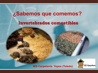 ¿Sabemos que comemos?
Invertebrados comestibles
IES Carpetania. Yepes (Toledo)
 
