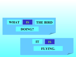 WHAT     IS     THE BIRD

       DOING?


                IT      IS
                     FLYING.
 