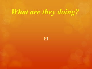 What are they doing? 
 