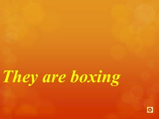 They are boxing 
 
