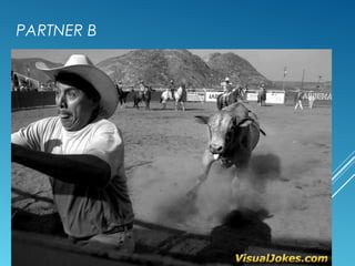 PARTNER B
 