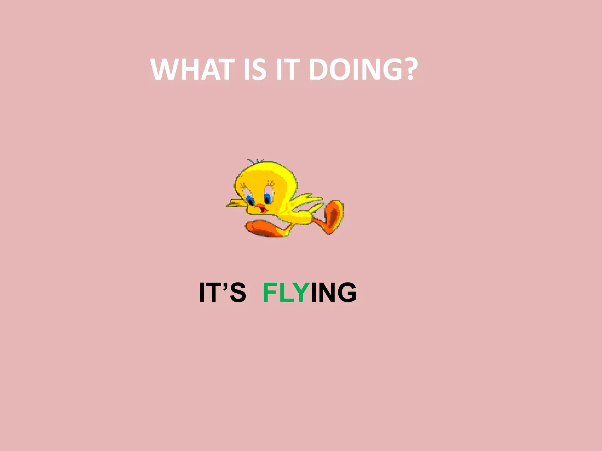 WHAT IS IT DOING?
IT’S FLYING
 