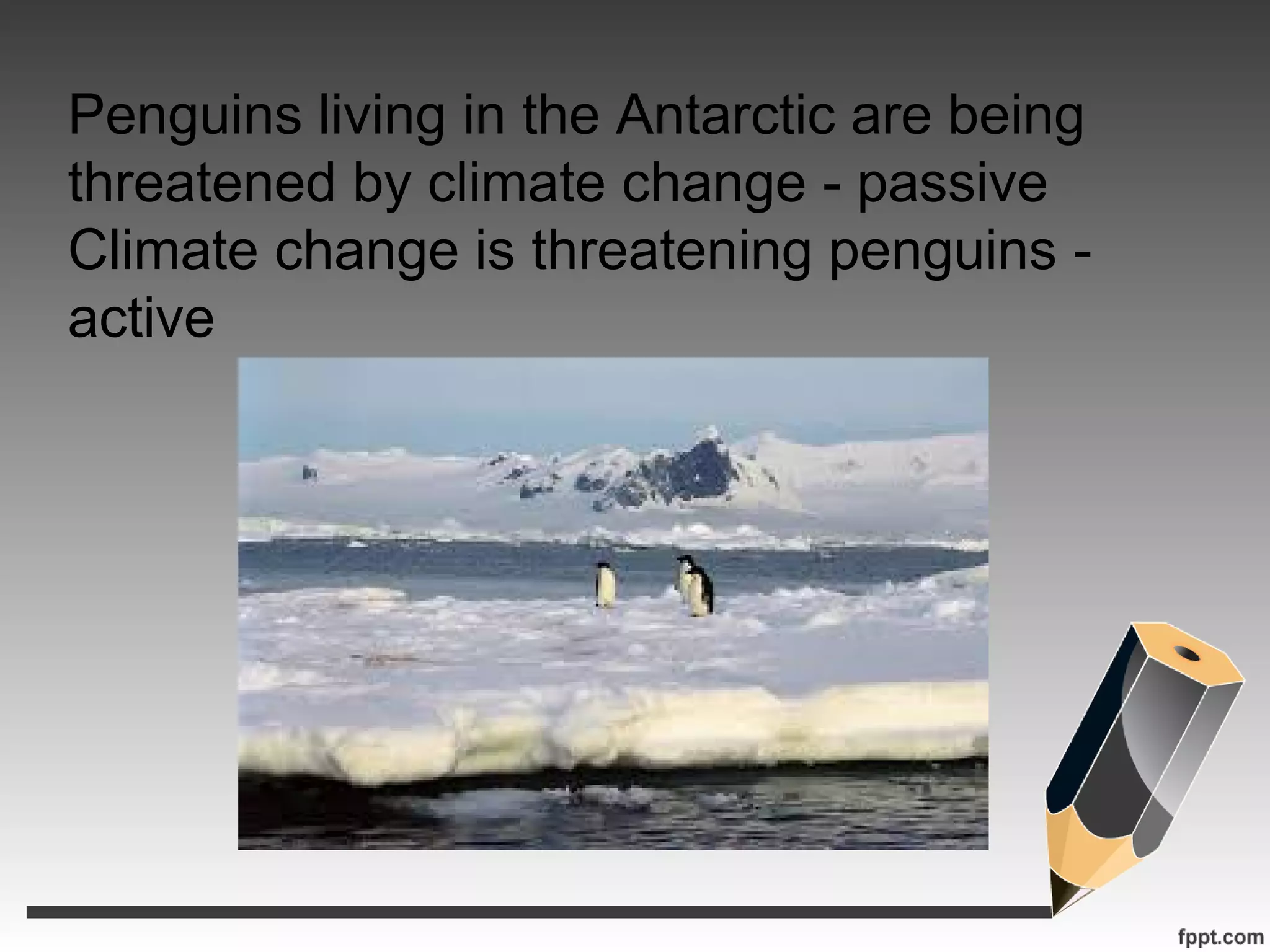 Penguins living in the Antarctic are being
threatened by climate change - passive
Climate change is threatening penguins -
active