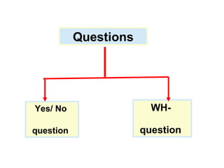 Questions Yes/ No  question   WH-  question   