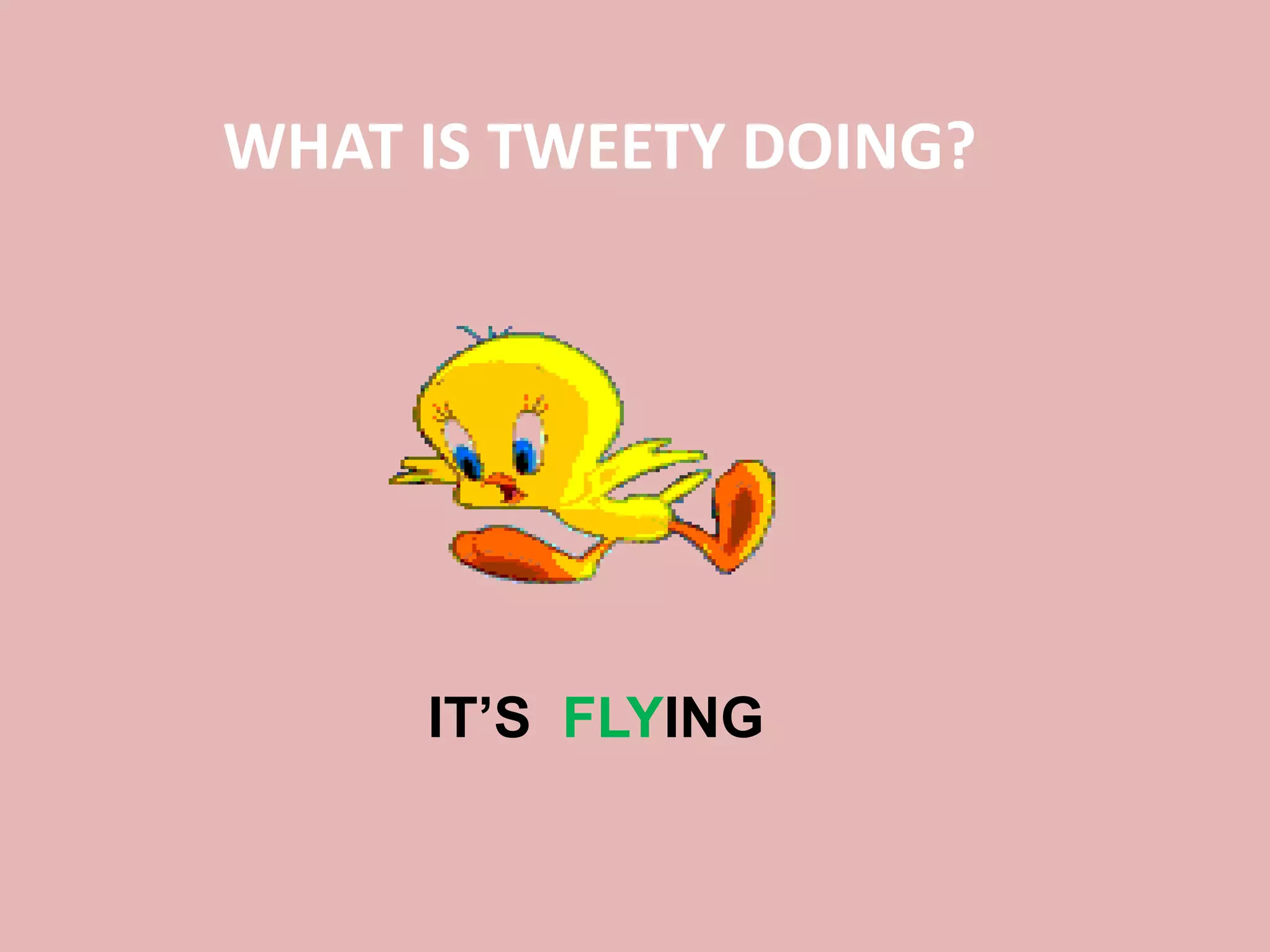 WHAT IS TWEETY DOING?
IT’S FLYING