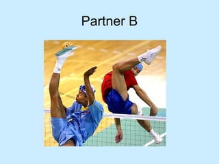 Partner B
 